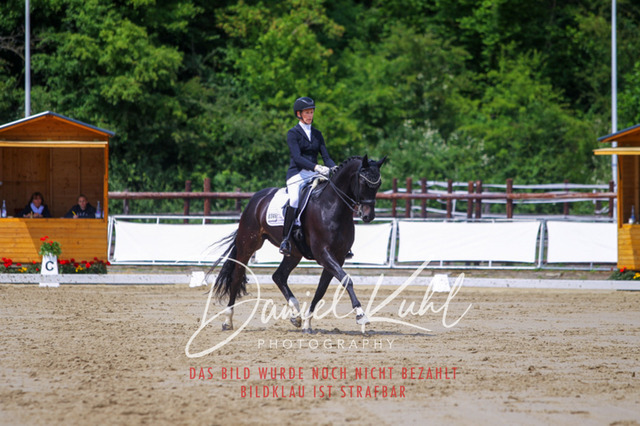 DKP47787 | Turniersportfotografie; Pferdefotografie; Dressurfotografie