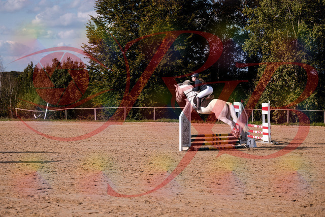 2026_10_03_Siefer-Hof_153917_Z81_54179483 | Professionelle Reitsport-, Turnier- und Eventfotografie von Robert Broda. Galerien mit ausgewählten und bearbeiteten Bildern direkt online ansehen und bestellen.