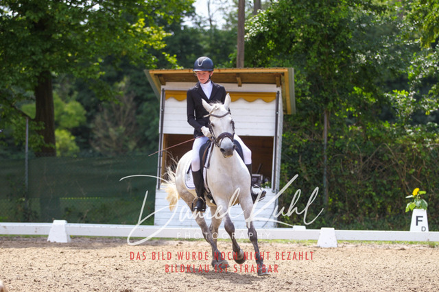 DKP42202 | Turniersportfotografie; Pferdefotografie; Dressurfotografie