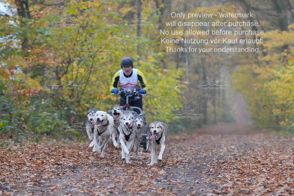 Rigs4bis8So-7 | stephaniefillaphotographie - Realisiert mit Pictrs.com