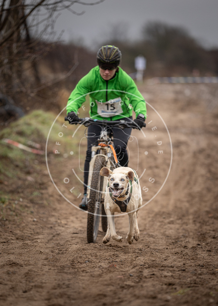 DV3A8973 | Hundefotografie, Tierfotograf, Pfotenfotografie, Fotoshooting Hund, Hunde Portrait, Hundesport, Hundeportraits, Heideshooting, Hunde, Sportfotograf, Hundefotograf, Turnierhundsport, THS,  - Realisiert mit Pictrs.com