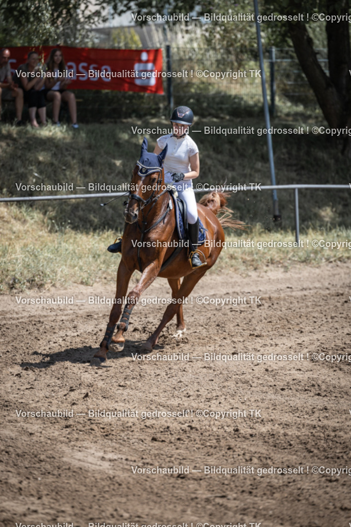 _D5A7267 | Emotionale Pferde- & People-Fotografie rund um Heidelberg, Leimen & Umgebung. Natürliche Fotos von Pferd, Mensch & Familie. Jetzt Termin sichern!