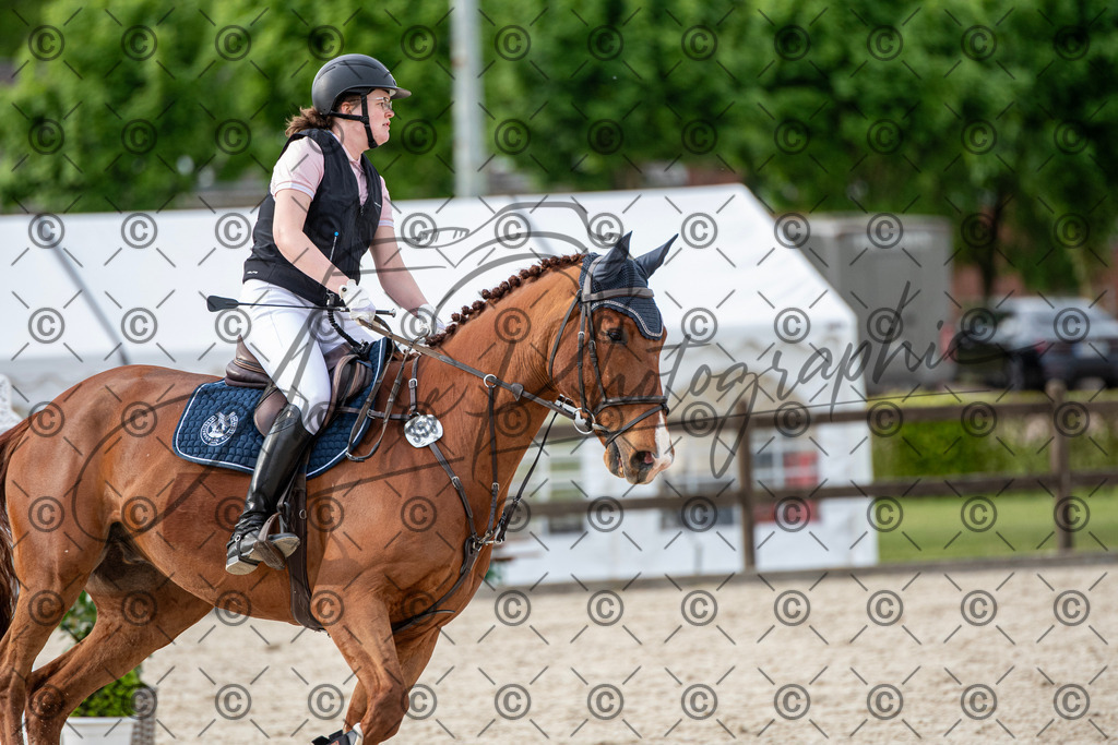 KPT_6844 | andre_photographic