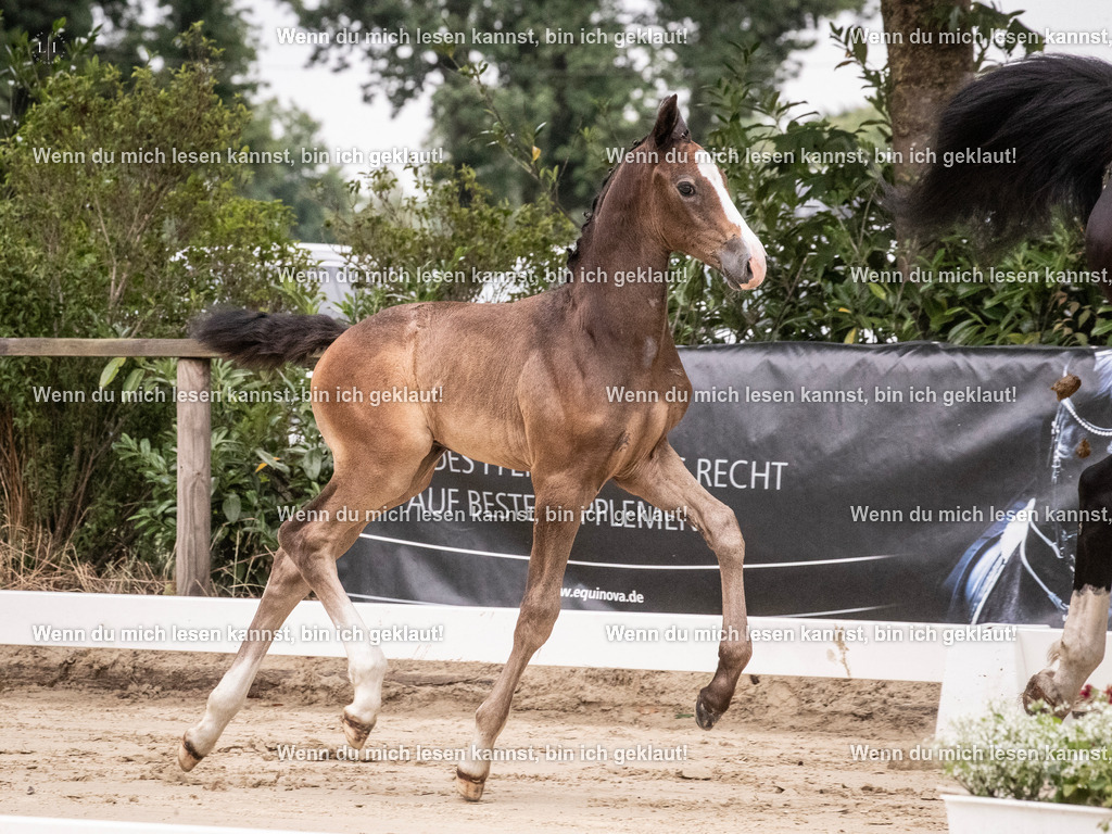 A10I9563 | photographylinaismer - Realisiert mit Pictrs.com