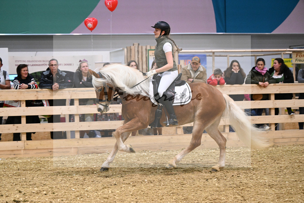 Schauprogramm_Umara_1261143 | hf-fotografie - Realisiert mit Pictrs.com