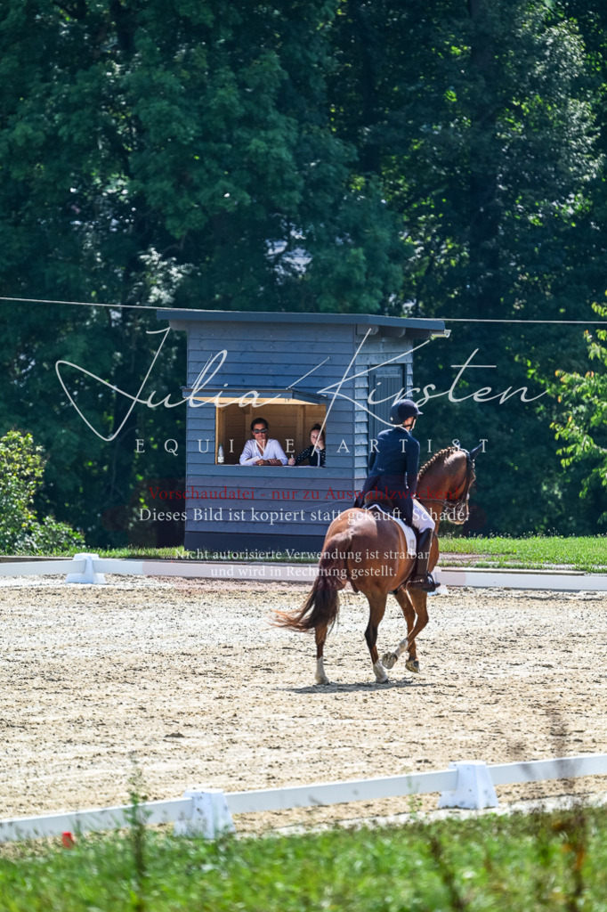 DSC_2764 | Pferde- und Turnierfotografie in Westsachsen. Pferdeportraits, Auftragszeichnungen und intuitive Kunst.