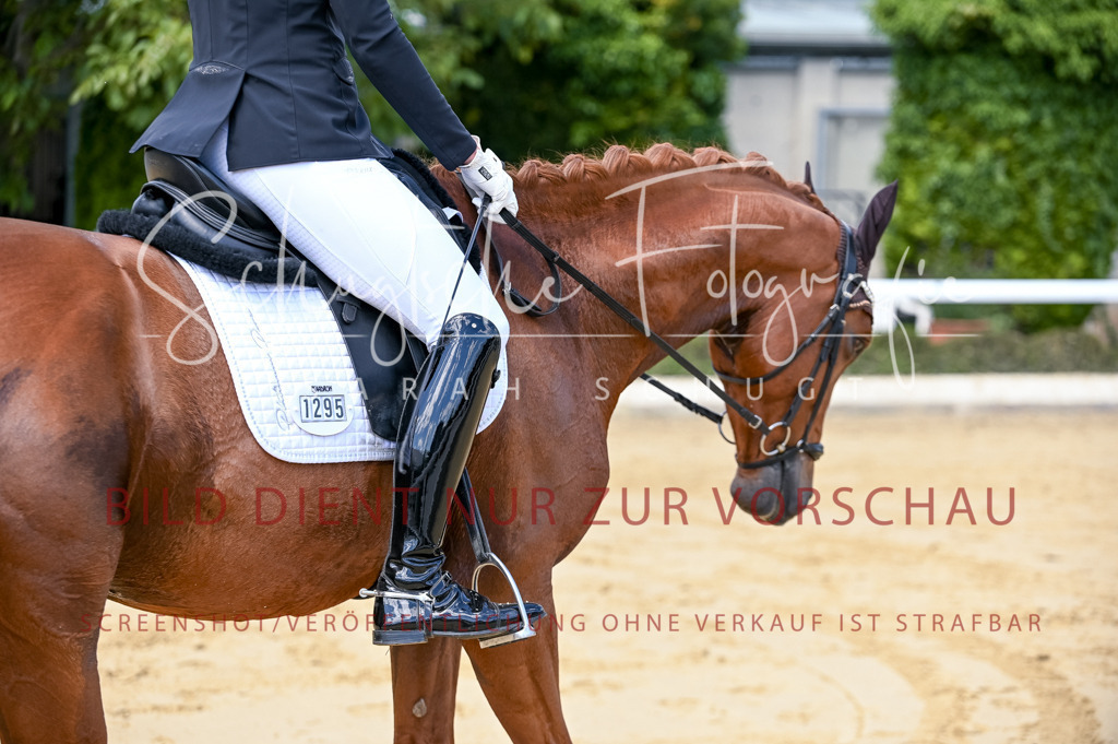 Schugtsche-Aluta25-49.Dressurpferdeprf.A-97 | Schugtsche Fotografie - Realisiert mit Pictrs.com