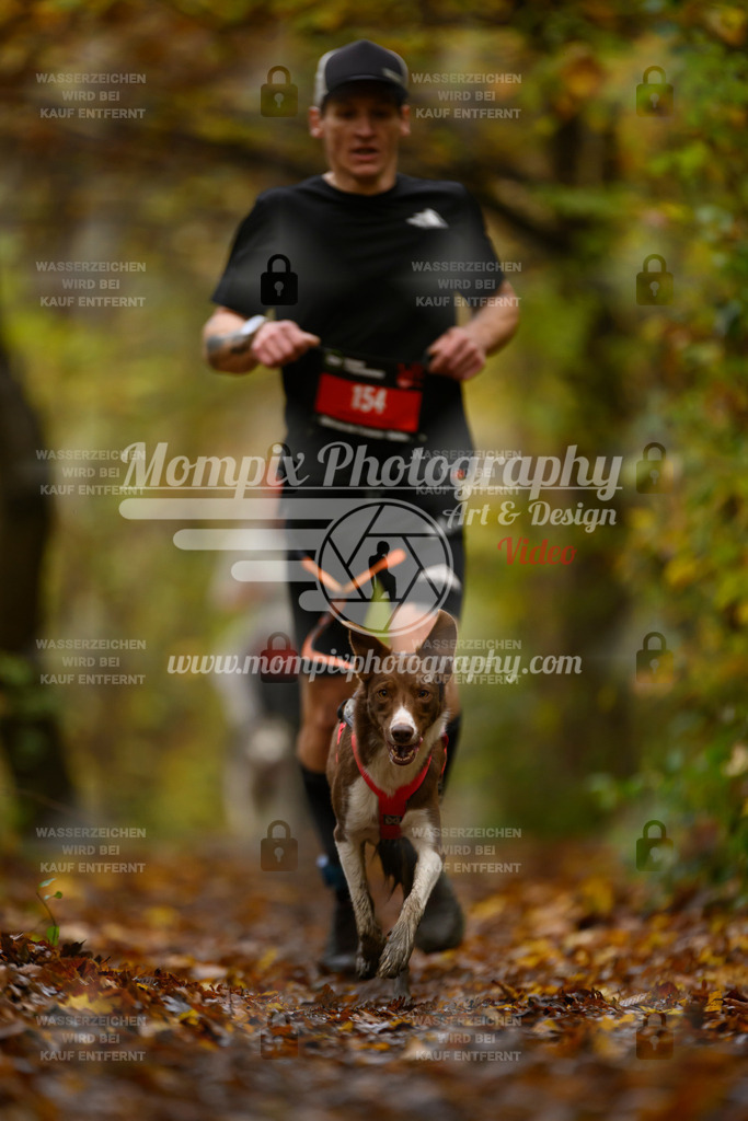 MompixPhotography_CD7S_DI_CCL-114 | mompixphotography