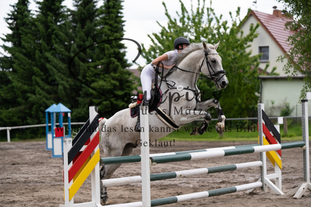 A7V04922 | Pferdefotograf