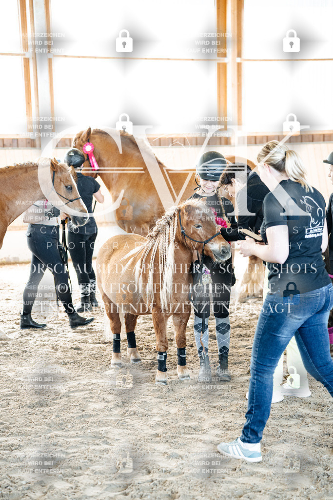 CK703195 | Turnierfotografie Pferdefotografie Trier Rheinland-Pfalz Pferdesport Reitsport Tierfotografie Sportfotografie Pferdevideo Pferdevideografie Equestrianvideography equestrianphotography  - Realized with Pictrs.com