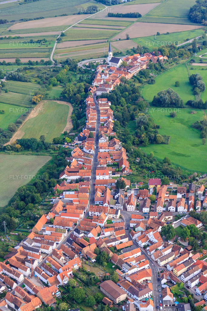 Luftbild: Hinterstädel von Norden in Jockgrim im Bundesland Rheinland-Pfalz in Deutschland. Foto: IMG_44936.jpg vom 03.09.2011 durch Werner Riehm/FLY-FOTO.de