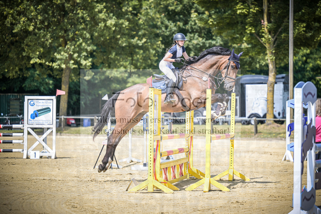 DOS_8735 | Entdecke hochwertige Reitturnierfotos von Foto Oger. Professionell, emotional und authentisch – jetzt Lieblingsmomente im Shop bestellen.Deutschlandweite Turnierfotografie. - Realisiert mit Pictrs.com
