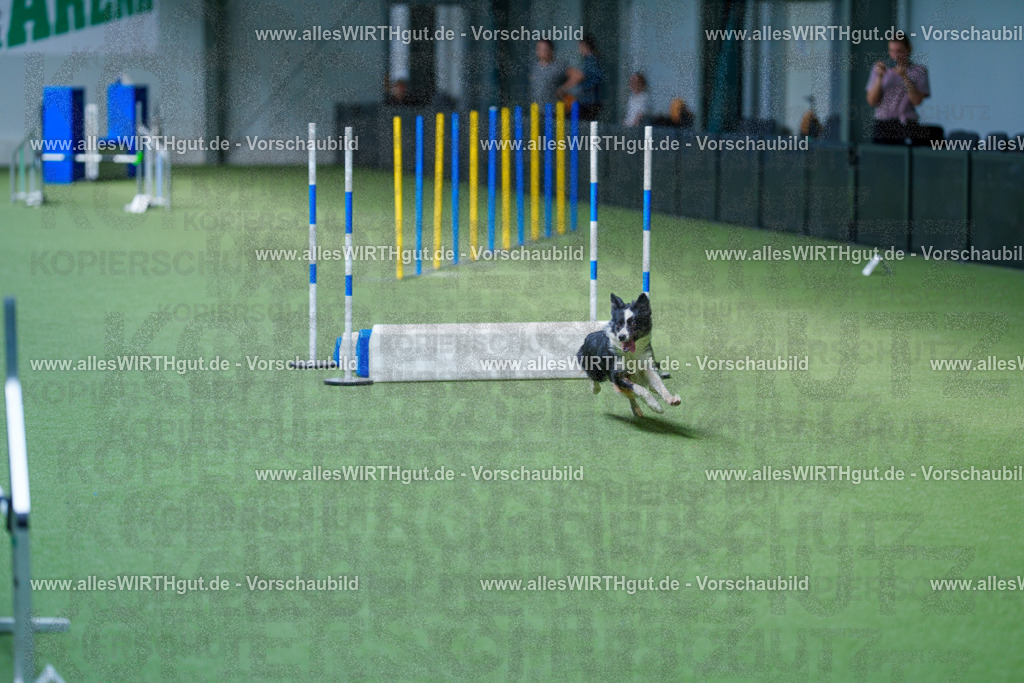 @allesWIRTHgut_Tierfotografie - www.allesWIRTHgut.de - 2604261344-7R502540 | Professionelle Tierfotografie in Mönchengladbach von Daniel Wirth (allesWIRTHgut). Liebevolle & natürliche Bilder von Hunden & Katzen für unvergessliche Erinnerungen.
