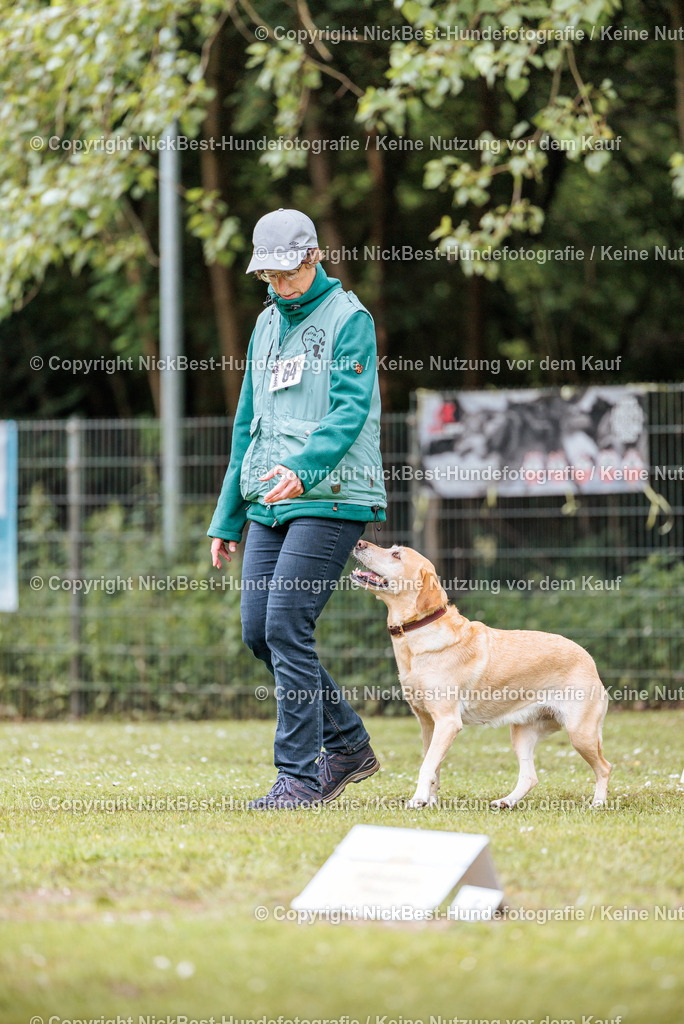 RO-Blumenthal-2026-Nickbest-Hundefotografie-1319 | Dein Hund! Dein Moment! Deine Erinnerungen! Hundefotografie in Bremen Blumenthal. Ich fange die besonderen Momente deines Vierbeiners ein – ob Indoor mit Blitzanlage oder in der freien Natur. Sicher dir dein Moment und dein Termin für eure Erinnerungen.