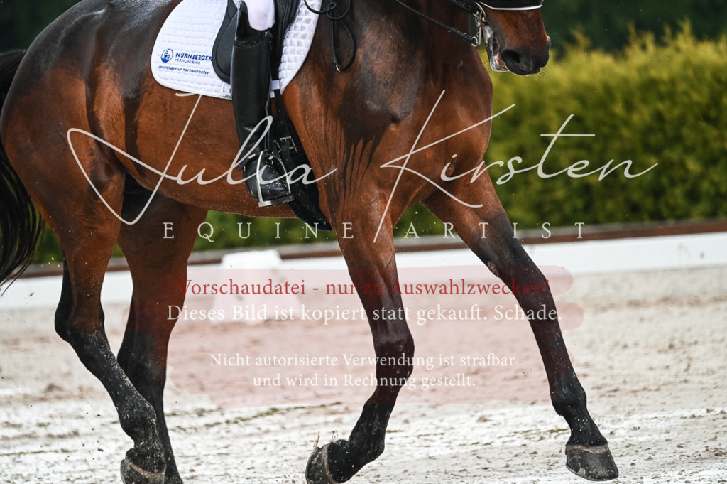 DSC_4217 | Pferde- und Turnierfotografie in Westsachsen. Pferdeportraits, Auftragszeichnungen und intuitive Kunst.