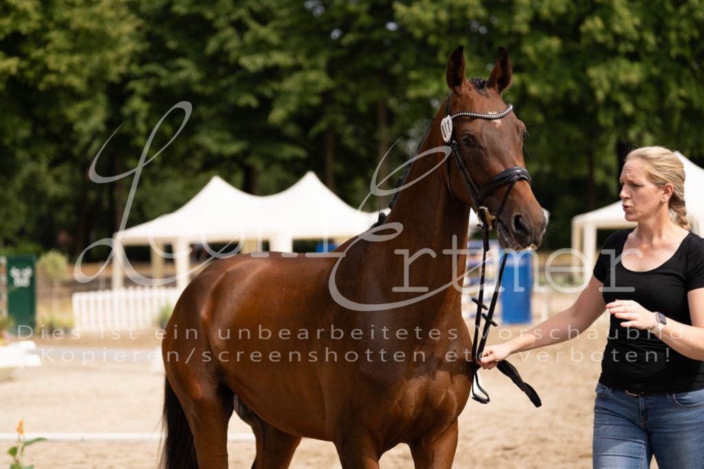 6.Fr00180 | Leoni Ertmer Photography - Realisiert mit Pictrs.com