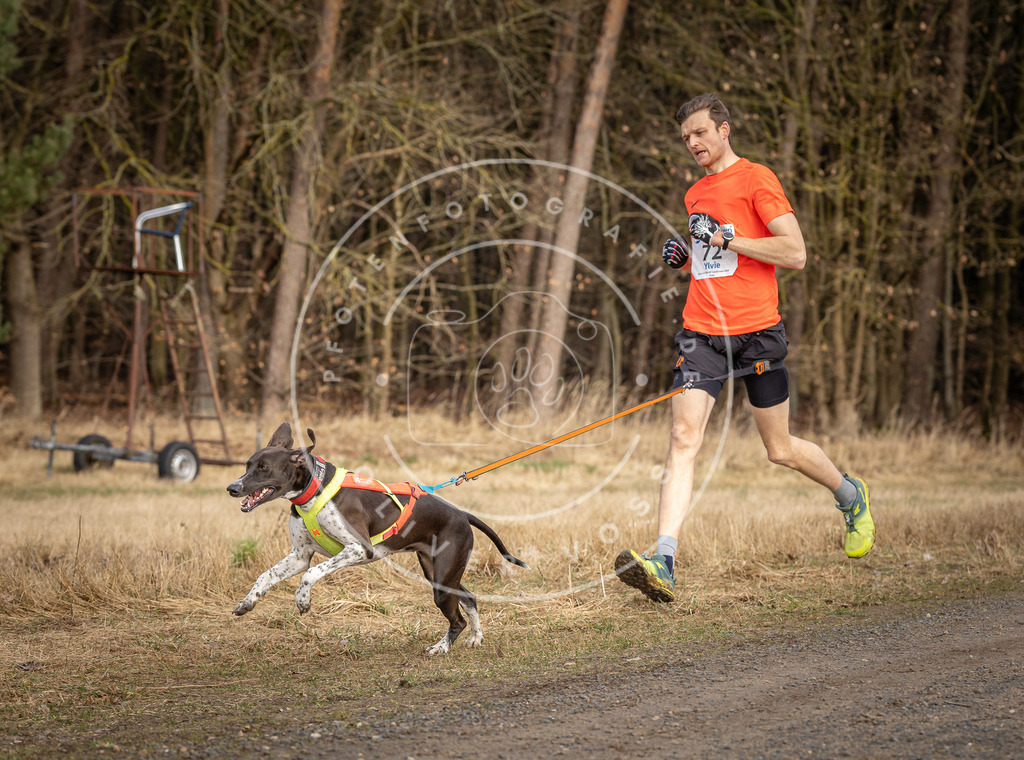 DV3A3657 | Hundefotografie, Tierfotograf, Pfotenfotografie, Fotoshooting Hund, Hunde Portrait, Hundesport, Hundeportraits, Heideshooting, Hunde, Sportfotograf, Hundefotograf, Turnierhundsport, THS,  - Realisiert mit Pictrs.com