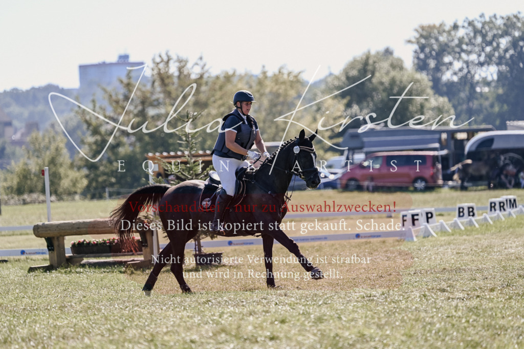 DSC_3319 | Pferde- und Turnierfotografie in Westsachsen. Pferdeportraits, Auftragszeichnungen und intuitive Kunst.