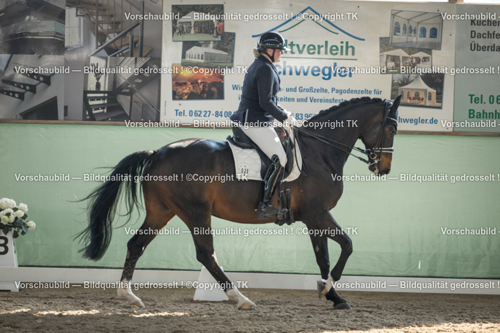 _D5A2893 | Emotionale Pferde- & People-Fotografie rund um Heidelberg, Leimen & Umgebung. Natürliche Fotos von Pferd, Mensch & Familie. Jetzt Termin sichern!