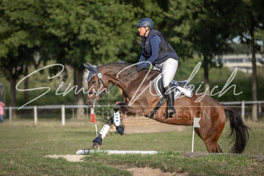 20250907-_3LI8278 | Tierfotografie Pferde, Hunde, Katzen, Haustiere.
Turnierfotografie Reitturniere, Reiten, Springreiten, Dressur in Hanau, dem Main-Kinzig-Kreis und dem Rhein-Main- Gebiet um Frankfurt