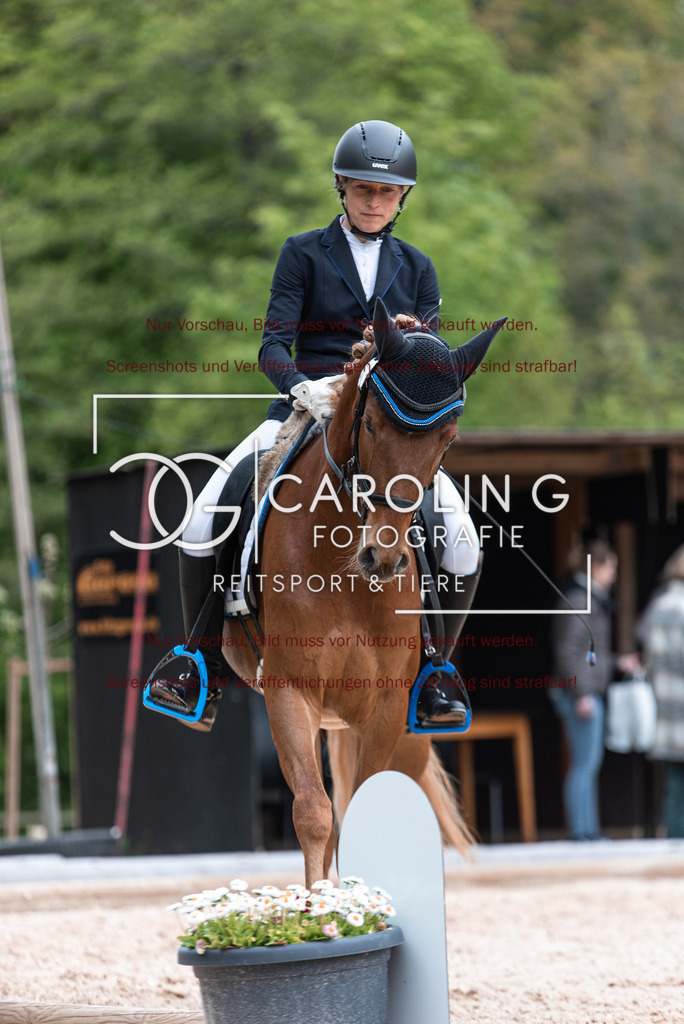 DSC_7092 | Turnierfotografin Carolin Gieschke,Reitsport Turnierfotografie Carolin G Fotografie | Turnierfotos aus Kirchheim/Teck, Esslingen, Stuttgart und dem Bodenseekreis