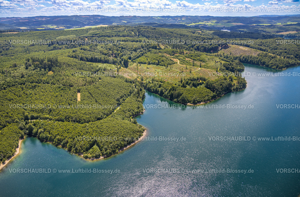 Sundern240708638 | Luftbild, Waldgebiet mit Waldschäden am Sorpesee Ufer, Blick ins Sauerland, Langscheid, Sundern, Sauerland, Nordrhein-Westfalen, Deutschland