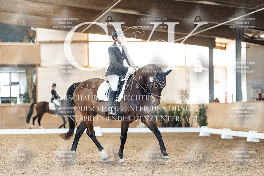 CK908425 | Turnierfotografie Pferdefotografie Trier Rheinland-Pfalz Pferdesport Reitsport Tierfotografie Sportfotografie Pferdevideo Pferdevideografie Equestrianvideography equestrianphotography  - Realisiert mit Pictrs.com