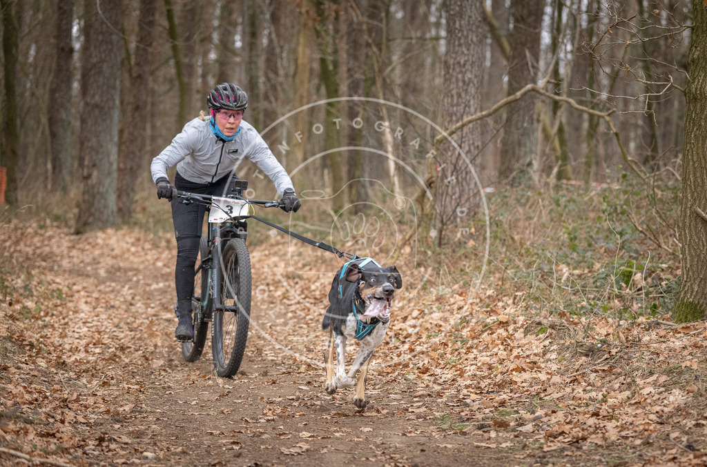 Pfotenfotografie_DV3A6384 | Hundefotografie, Tierfotograf, Pfotenfotografie, Fotoshooting Hund, Hunde Portrait, Hundesport, Hundeportraits, Heideshooting, Hunde, Sportfotograf, Hundefotograf, Turnierhundsport, THS,  - Realisiert mit Pictrs.com