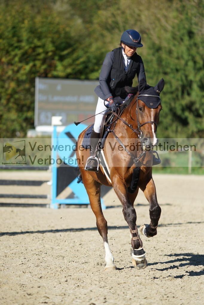 DSC08266 | equestrian-live-com