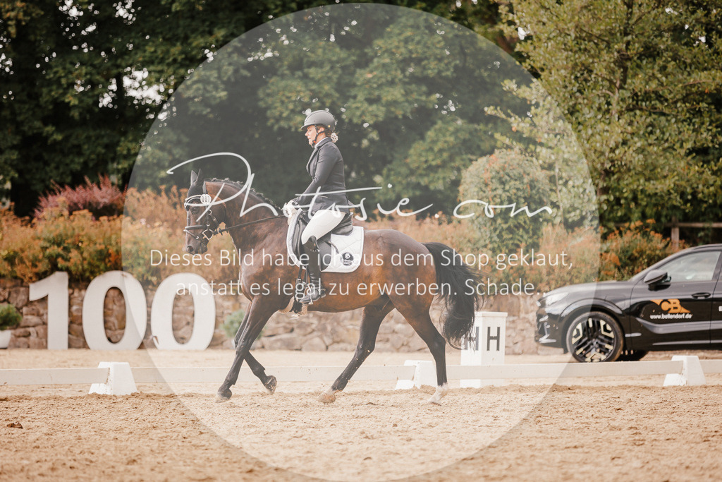 3I6A6354 | Stimmungsvolle Portraits und Reitsportfotografie im Ruhrgebiet und im Münsterland.

Pferdefotografie, Hundefotografie, Tierfotografie, Reportagen, Portraits von Tier und Mensch, Turnierfotografie in Bochum, Recklinghausen, Marl, Haltern am See, Dülmen.. - Realisiert mit Pictrs.com