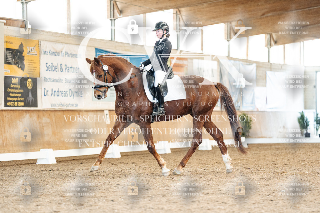CK908383 | Turnierfotografie Pferdefotografie Trier Rheinland-Pfalz Pferdesport Reitsport Tierfotografie Sportfotografie Pferdevideo Pferdevideografie Equestrianvideography equestrianphotography  - Realisiert mit Pictrs.com