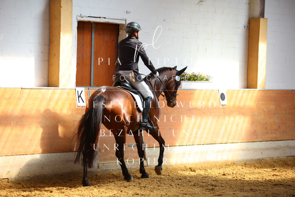 IMGT7636 | pl-fotografie