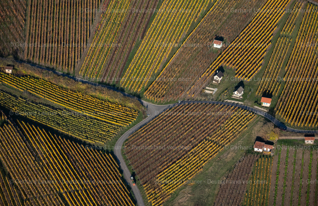 4042782 | Weinberge bei Falkenstein, Weinlage Falkenberg