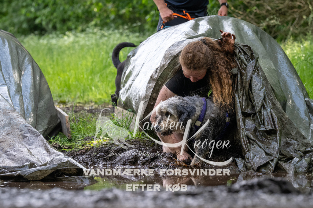 1239_ZZ92860 | kk-dogfotos