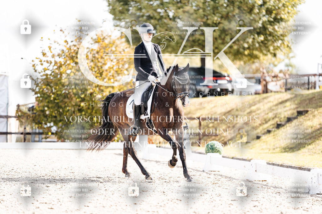 CK902136 | Turnierfotografie Pferdefotografie Trier Rheinland-Pfalz Pferdesport Reitsport Tierfotografie Sportfotografie Pferdevideo Pferdevideografie Equestrianvideography equestrianphotography  - Realisiert mit Pictrs.com