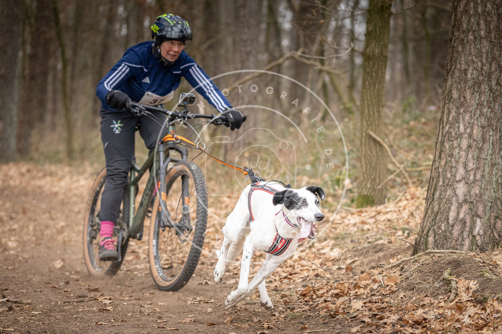 Pfotenfotografie_DV3A5397 | Hundefotografie, Tierfotograf, Pfotenfotografie, Fotoshooting Hund, Hunde Portrait, Hundesport, Hundeportraits, Heideshooting, Hunde, Sportfotograf, Hundefotograf, Turnierhundsport, THS,  - Realisiert mit Pictrs.com