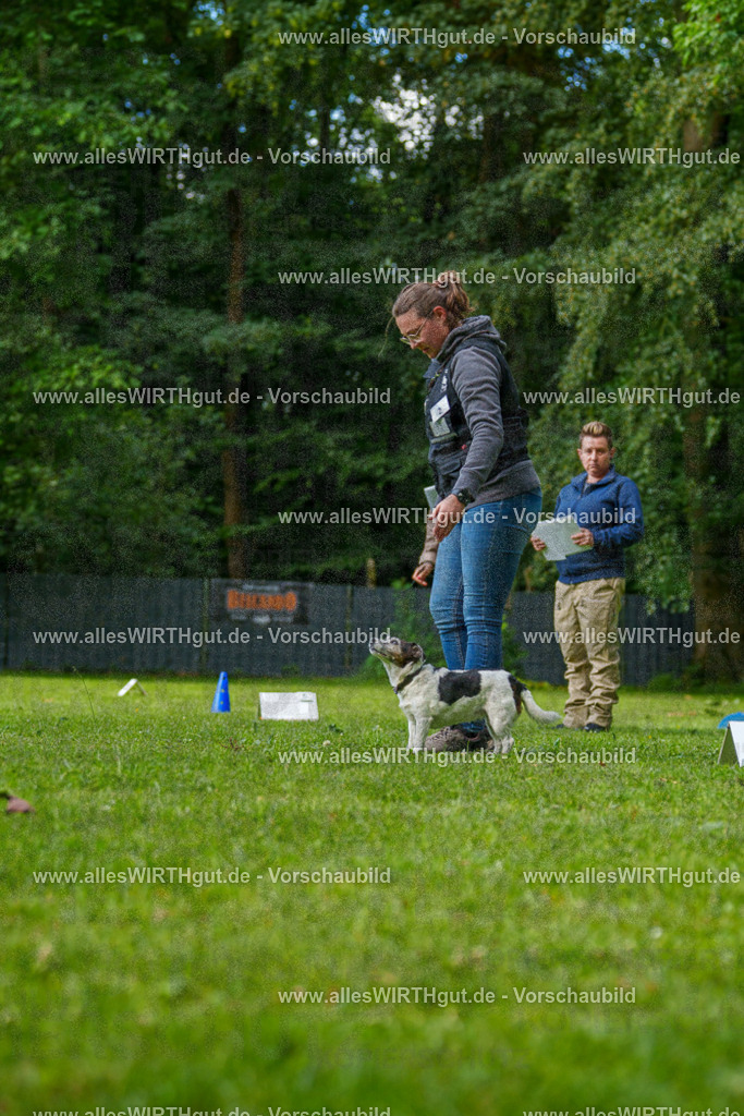 @allesWIRTHgut_Tierfotografie - www.allesWIRTHgut.de - 083053-7R506273 | Professionelle Tierfotografie in Mönchengladbach von Daniel Wirth (allesWIRTHgut). Liebevolle & natürliche Bilder von Hunden & Katzen für unvergessliche Erinnerungen.