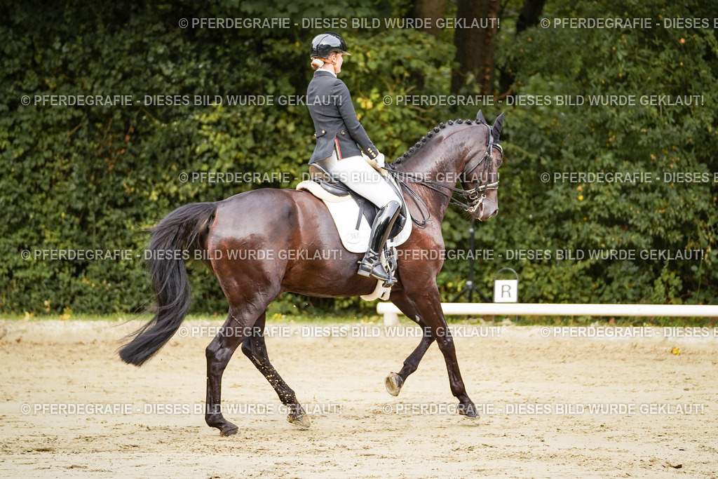 DSC02284 | Pferdegrafie