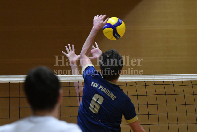 TSV Plattling Volleyball - Isarvolleys | TSV Plattling Volleyball - Isarvolleys - Realisiert mit Pictrs.com