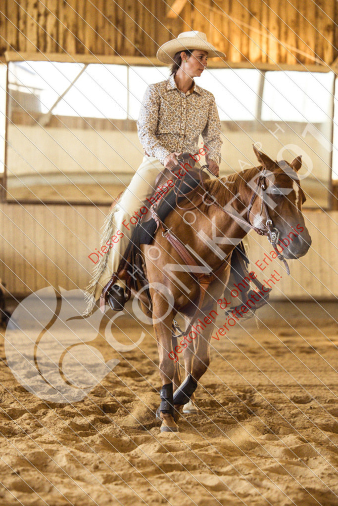 IMG_5016 | Sport-, Event- und Tierfotos in Profiqualität. Einfach auswählen, bestellen und herunterladen. Dein Moment – perfekt festgehalten.