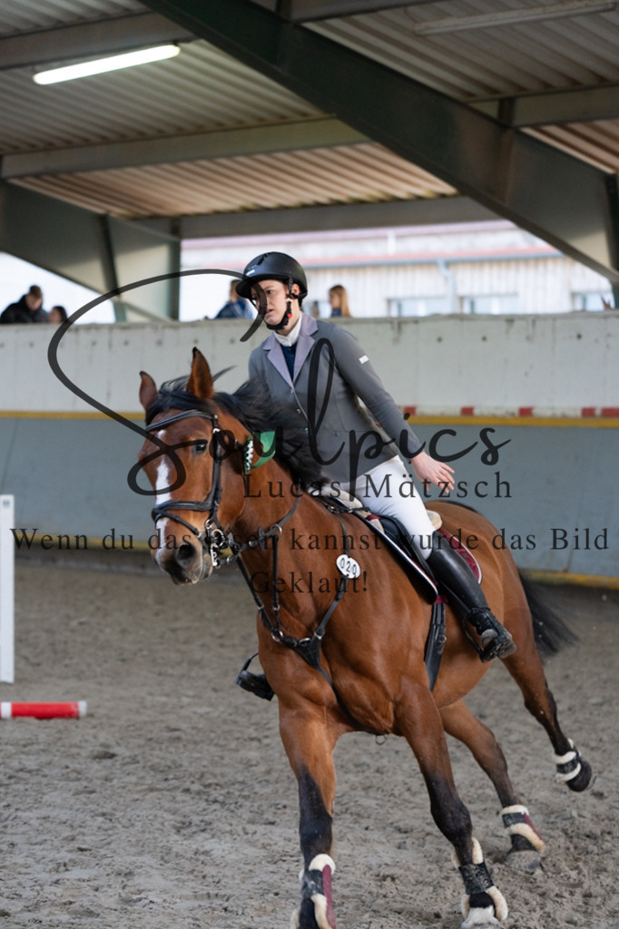 A7V04577 | Pferdefotograf