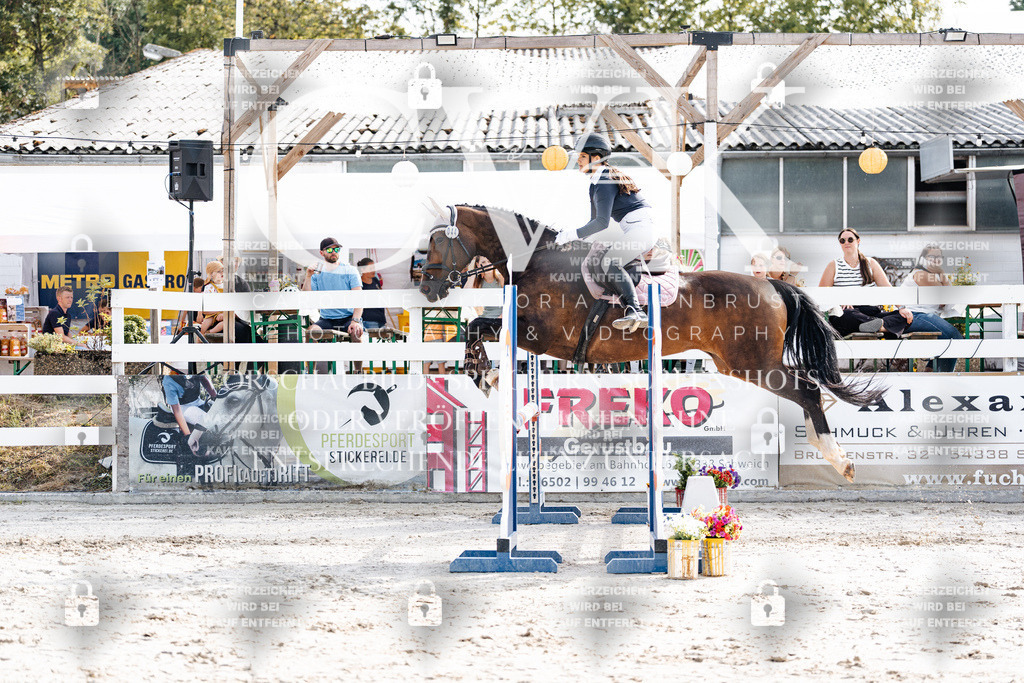 CK905615 | Turnierfotografie Pferdefotografie Trier Rheinland-Pfalz Pferdesport Reitsport Tierfotografie Sportfotografie Pferdevideo Pferdevideografie Equestrianvideography equestrianphotography  - Realisiert mit Pictrs.com