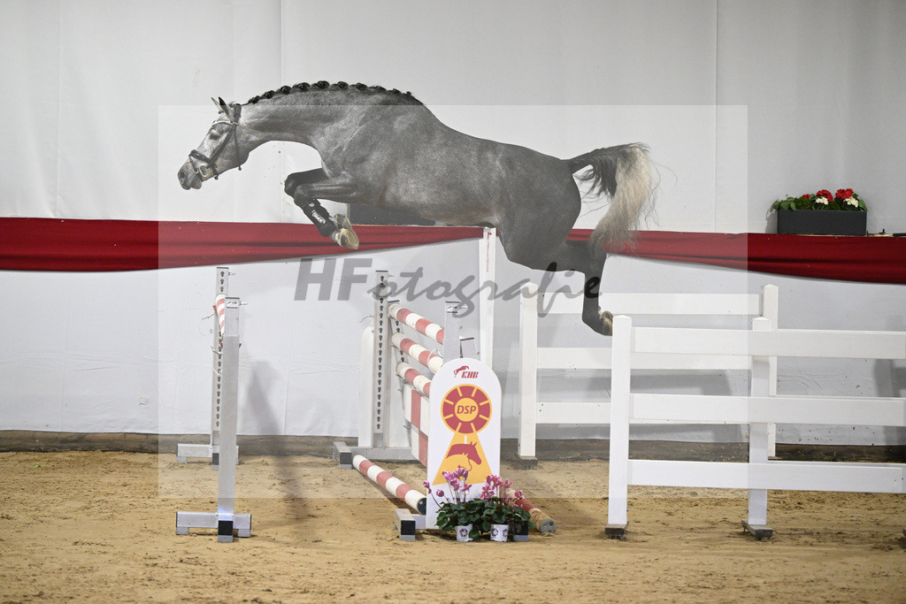 Kat-Nr. 28 v. Cornet de Semilly_ZG Nahm_63220843 | hf-fotografie - Realisiert mit Pictrs.com