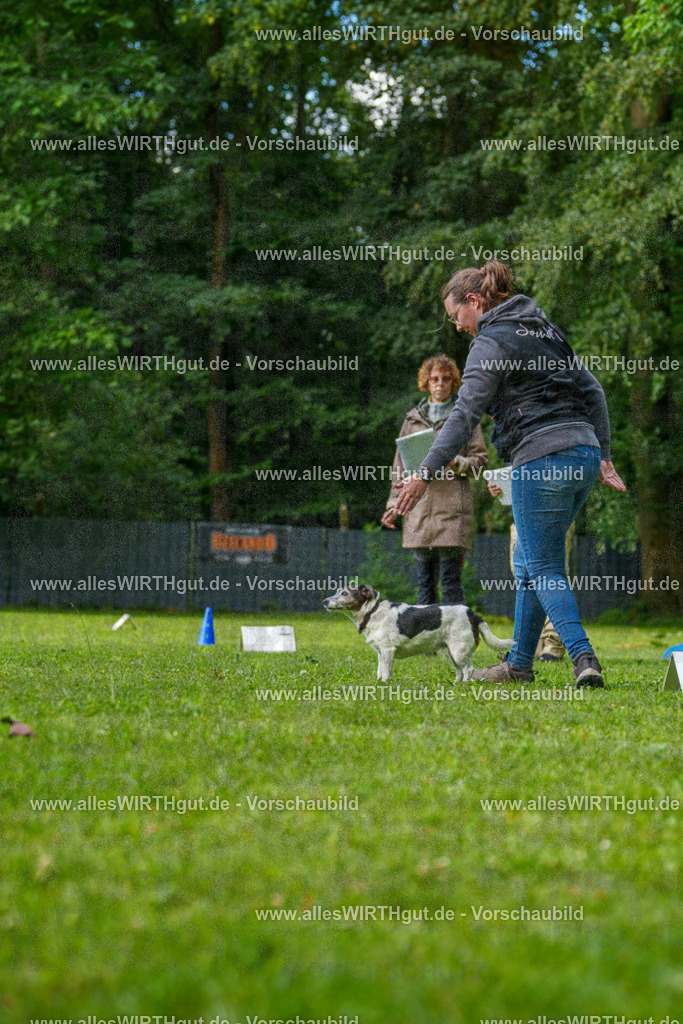 @allesWIRTHgut_Tierfotografie - www.allesWIRTHgut.de - 083052-7R506272 | Professionelle Tierfotografie in Mönchengladbach von Daniel Wirth (allesWIRTHgut). Liebevolle & natürliche Bilder von Hunden & Katzen für unvergessliche Erinnerungen.