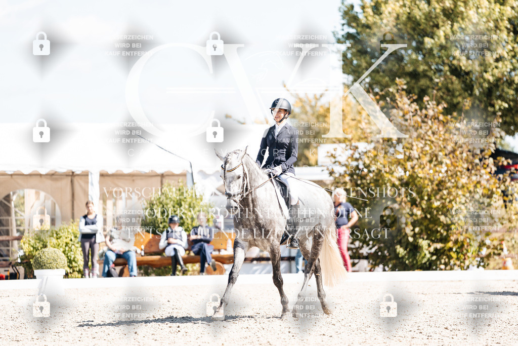 CK903781 | Turnierfotografie Pferdefotografie Trier Rheinland-Pfalz Pferdesport Reitsport Tierfotografie Sportfotografie Pferdevideo Pferdevideografie Equestrianvideography equestrianphotography  - Realisiert mit Pictrs.com