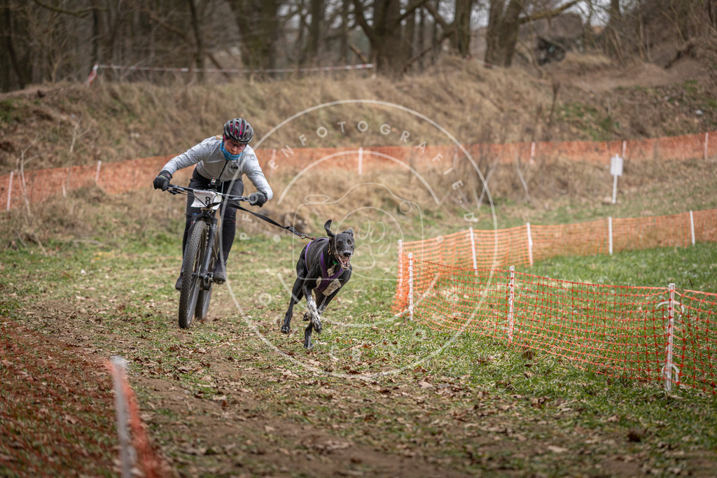 Pfotenfotografie_DV3A6554 | Hundefotografie, Tierfotograf, Pfotenfotografie, Fotoshooting Hund, Hunde Portrait, Hundesport, Hundeportraits, Heideshooting, Hunde, Sportfotograf, Hundefotograf, Turnierhundsport, THS,  - Realisiert mit Pictrs.com