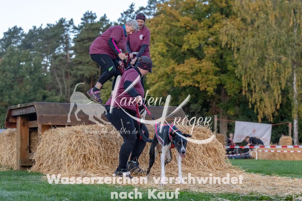 0827_ZZ90757 | kk-dogfotos