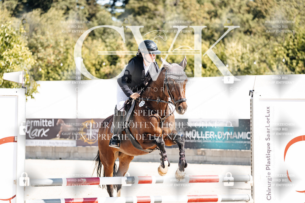 CK905239 | Turnierfotografie Pferdefotografie Trier Rheinland-Pfalz Pferdesport Reitsport Tierfotografie Sportfotografie Pferdevideo Pferdevideografie Equestrianvideography equestrianphotography  - Realisiert mit Pictrs.com