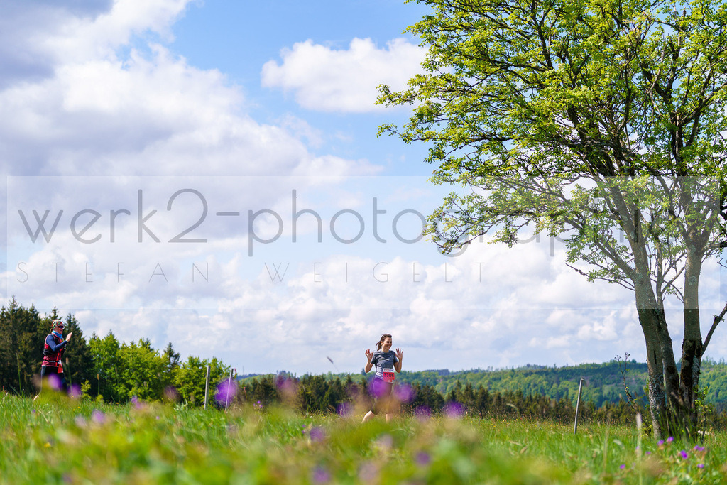 Rennsteiglauf Marathon 2025 | Marathon von Neuhaus/Rwg. nach Schmiedefeld/Rstg. am 17. Mai 2025