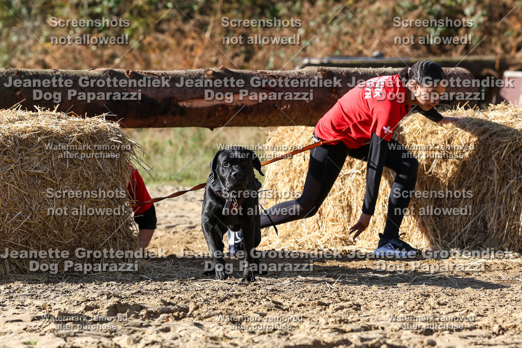 Dog Paparazzi - Strongdog 10-25-4700 | Dog Paparazzi Jeanette Grottendiek Fotografie & Videografie - Realisiert mit Pictrs.com